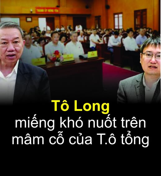 Tô Long miếng khó nuốt trên mâm cỗ của T.ô tổng