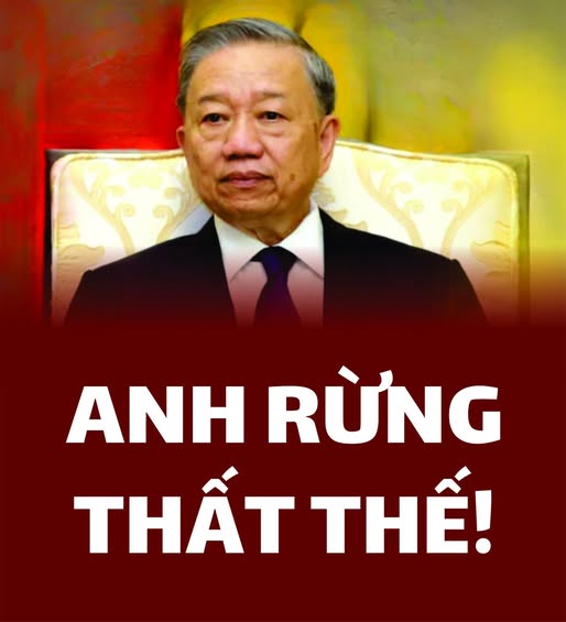 “ĐẠI ÁN AVG”, CÁI BẪY CHÍNH TRỊ KHI ANH RỪNG THẤT THẾ