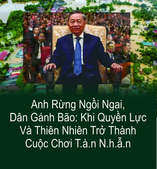 Anh Rừng ngồi ngai, Dân gánh bão: khi quyền lực và thiên nhiên trở thành cuộc chơi tàn nhẫn