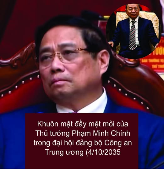 “Anh Rừng” chia ghế: Khi quyền lực biến thành bàn cờ sinh tử